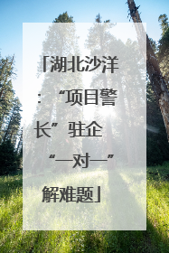 湖北沙洋：“项目警长”驻企 “一对一”解难题