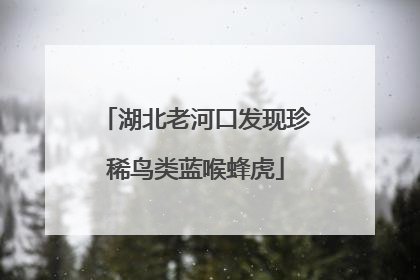湖北老河口发现珍稀鸟类蓝喉蜂虎