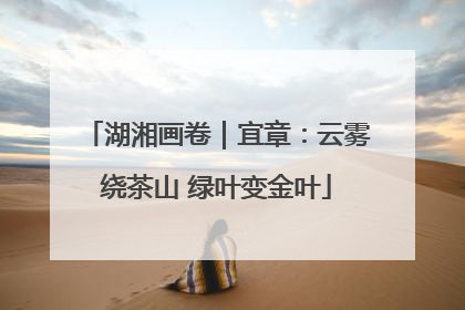 湖湘画卷｜宜章：云雾绕茶山 绿叶变金叶