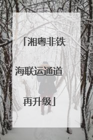 湘粤非铁海联运通道再升级