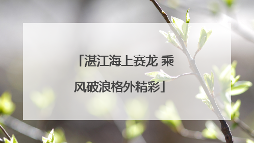 湛江海上赛龙 乘风破浪格外精彩