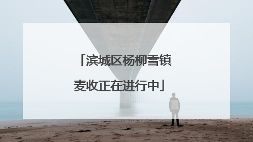 滨城区杨柳雪镇麦收正在进行中