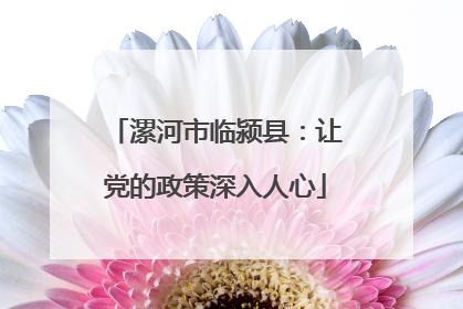 漯河市临颍县：让党的政策深入人心