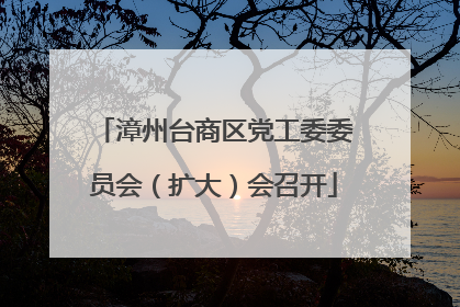 漳州台商区党工委委员会（扩大）会召开