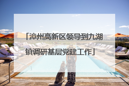 漳州高新区领导到九湖镇调研基层党建工作