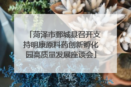 菏泽市鄄城县召开支持明康原料药创新孵化园高质量发展座谈会