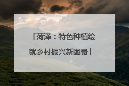 菏泽：特色种植绘就乡村振兴新图景