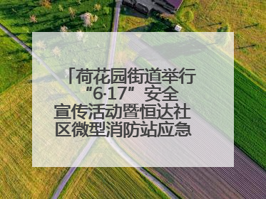 荷花园街道举行“6·17”安全宣传活动暨恒达社区微型消防站应急小分队启动式