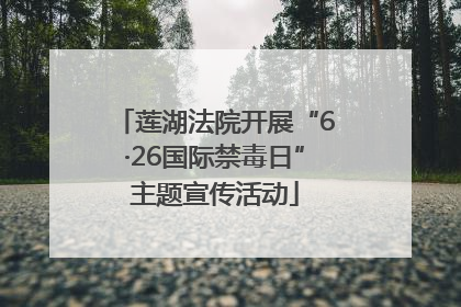 莲湖法院开展“6·26国际禁毒日”主题宣传活动