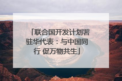 联合国开发计划署驻华代表：与中国同行 促万物共生