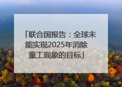 联合国报告：全球未能实现2025年消除童工现象的目标