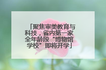 聚焦审美教育与科技，省内第一家全年龄段“博物馆学校”即将开学