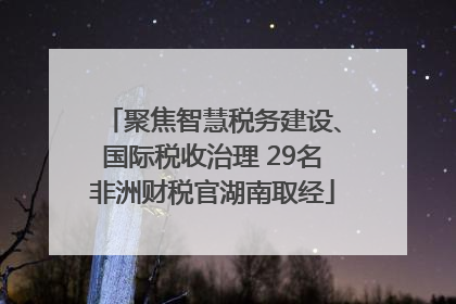 聚焦智慧税务建设、国际税收治理 29名非洲财税官湖南取经