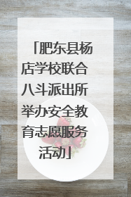 肥东县杨店学校联合八斗派出所举办安全教育志愿服务活动