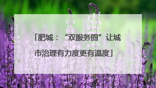 肥城：“双服务圈”让城市治理有力度更有温度