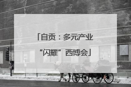 自贡：多元产业“闪耀”西博会