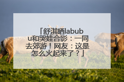 舒淇晒labubu和哭娃合影：一同去郊游！网友：这是怎么火起来了？