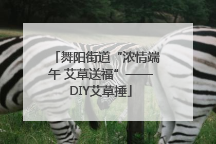 舞阳街道“浓情端午 艾草送福”——DIY艾草捶