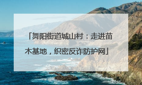 舞阳街道城山村：走进苗木基地，织密反诈防护网