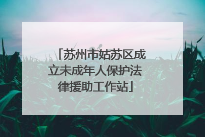 苏州市姑苏区成立未成年人保护法律援助工作站