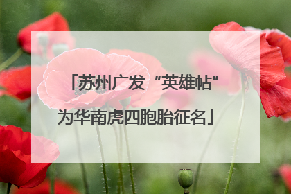 苏州广发“英雄帖”为华南虎四胞胎征名