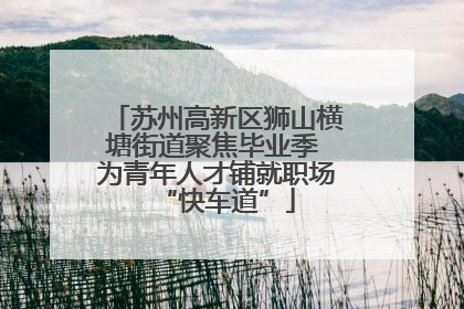 苏州高新区狮山横塘街道聚焦毕业季 为青年人才铺就职场“快车道”