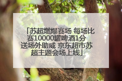苏超燃爆赛场 每场比赛10000罐啤酒1分送场外助威 京东超市苏超主题会场上线