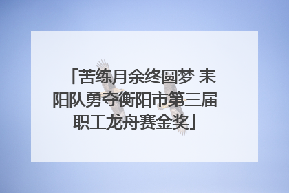 苦练月余终圆梦 耒阳队勇夺衡阳市第三届职工龙舟赛金奖