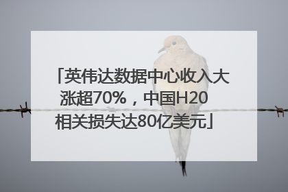 英伟达数据中心收入大涨超70%，中国H20相关损失达80亿美元