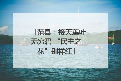 范县：接天莲叶无穷碧 “民主之花”别样红