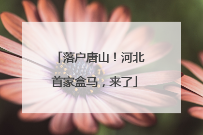 落户唐山！河北首家盒马，来了