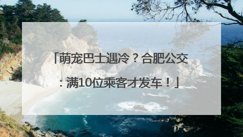 萌宠巴士遇冷？合肥公交：满10位乘客才发车！