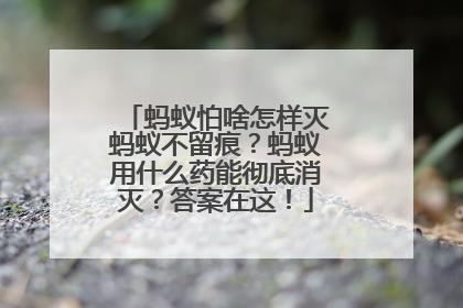 蚂蚁怕啥怎样灭蚂蚁不留痕？蚂蚁用什么药能彻底消灭？答案在这！