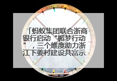 蚂蚁集团联合浙商银行启动“栀梦行动”，三个维度助力浙江下姜村建设共富示范区示范点