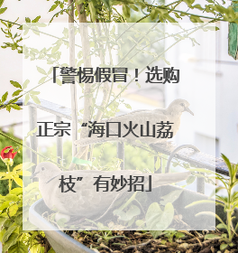 警惕假冒！选购正宗“海口火山荔枝”有妙招