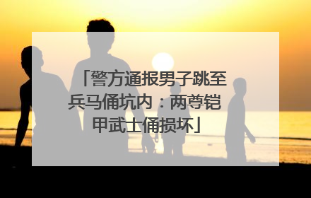 警方通报男子跳至兵马俑坑内：两尊铠甲武士俑损坏