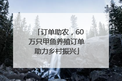 订单助农，60万只甲鱼养殖订单助力乡村振兴