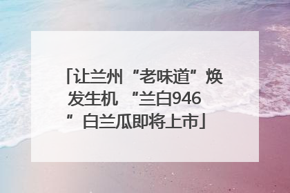 让兰州“老味道”焕发生机 “兰白946”白兰瓜即将上市