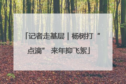 记者走基层｜杨树打“点滴” 来年抑飞絮