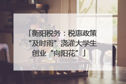 衡阳税务：税惠政策“及时雨”浇灌大学生创业“向阳花”