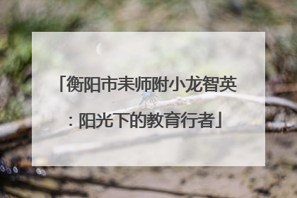 衡阳市耒师附小龙智英：阳光下的教育行者