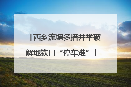 西乡流塘多措并举破解地铁口“停车难”