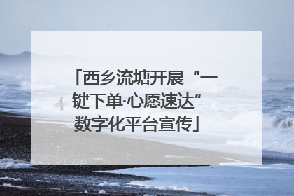 西乡流塘开展“一键下单·心愿速达”数字化平台宣传