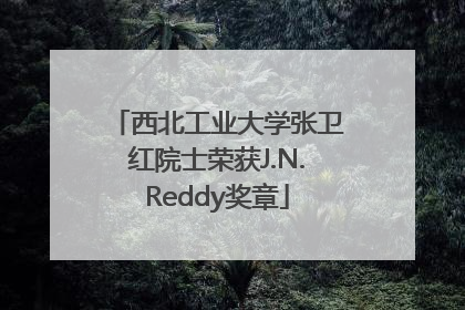西北工业大学张卫红院士荣获J.N.Reddy奖章