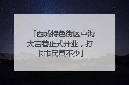 西城特色街区中海大吉巷正式开业，打卡市民真不少
