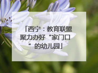 西宁：教育联盟聚力办好“家门口”的幼儿园
