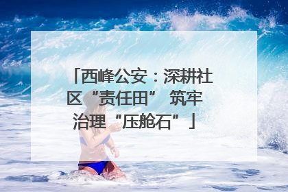 西峰公安：深耕社区“责任田” 筑牢治理“压舱石”