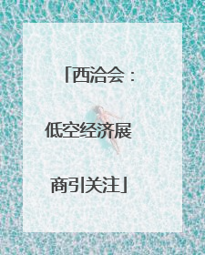 西洽会：低空经济展商引关注