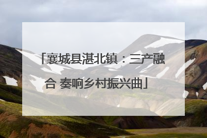 襄城县湛北镇：三产融合 奏响乡村振兴曲