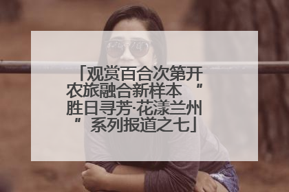 观赏百合次第开 农旅融合新样本 “胜日寻芳·花漾兰州”系列报道之七